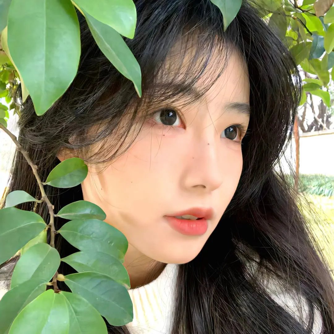 巴西香粉寮